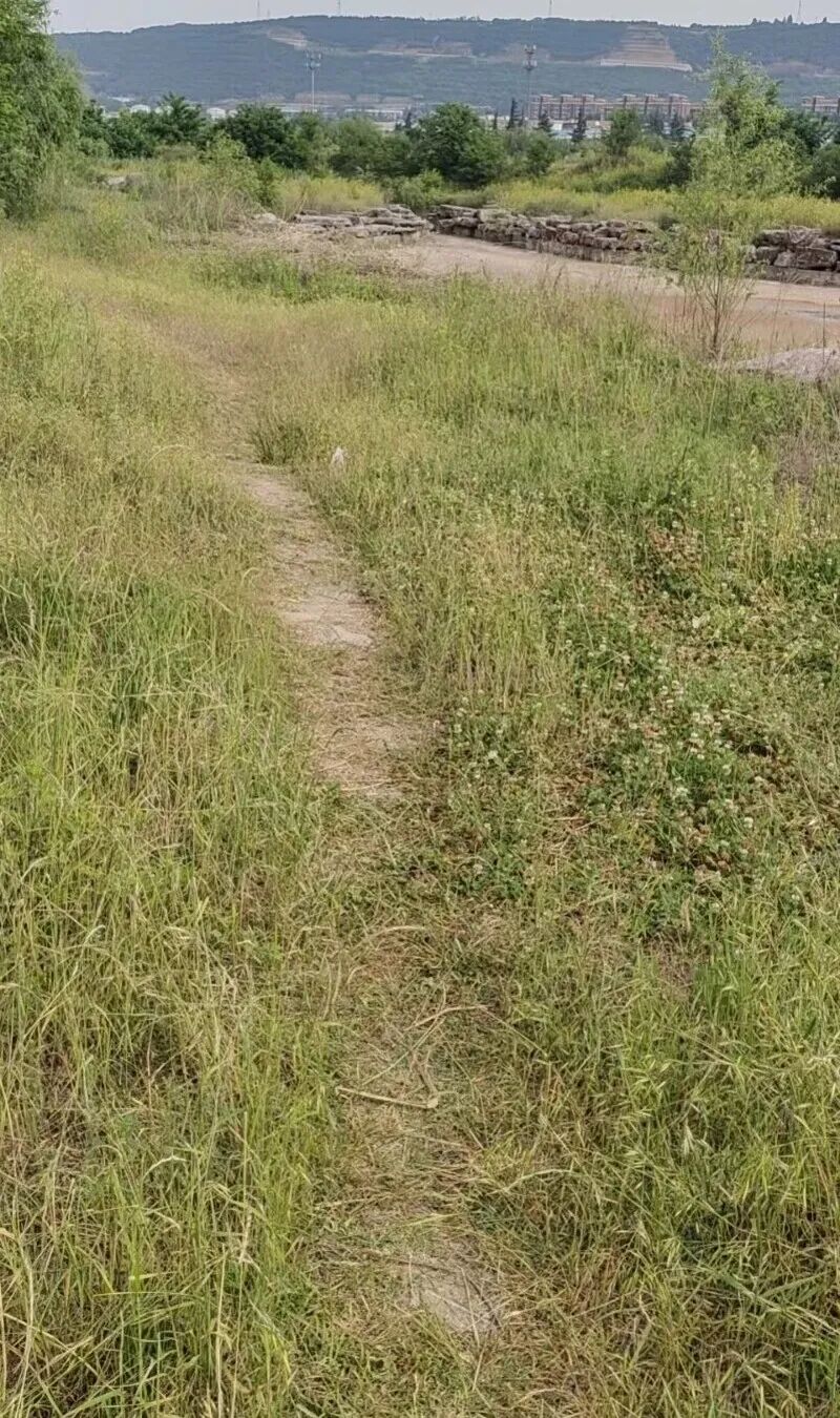 图片[3]-[男孩] 急寻2017年出生2024年05月11日失踪陕西省宝鸡市渭滨区姜谭路 侯天佑-白川技术站